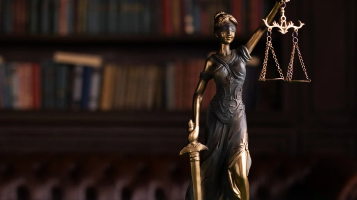 mistakes during public interest litigation